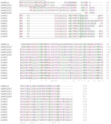 New insight into the biological activity of Salmo salar NK-lysin antimicrobial peptides